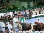 QURBAN-1-e1779880251851-1024x916-1